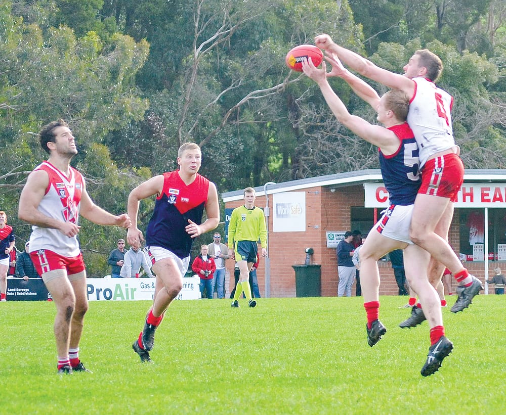 Kangaroos get the upset post image