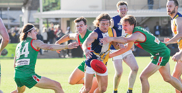 Seagulls remain undefeated post image