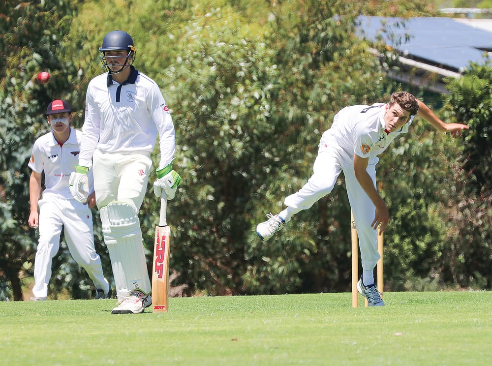 Sharks set to defend a strong total post image