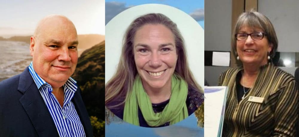 At least one ‘green’ councillor from Coastal Prom post image