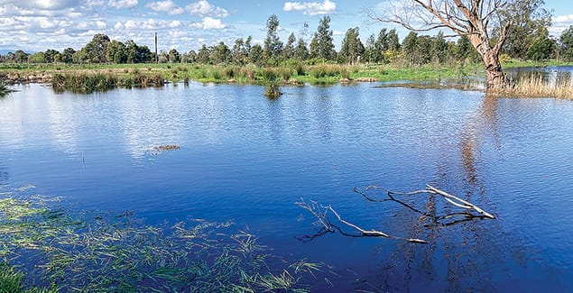 Generate income through ecological assets, carbon offsets post image