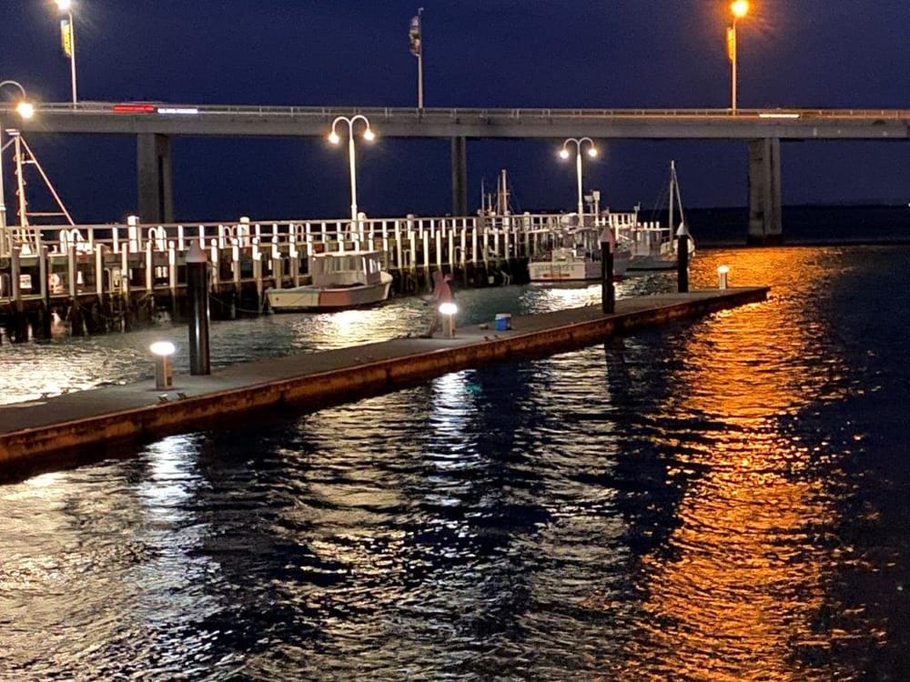 ‘Tragedy’ looms for San Remo Jetty, says Melina Bath MP post image