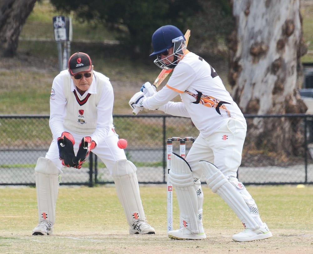 Goannas tie with Essendon post image