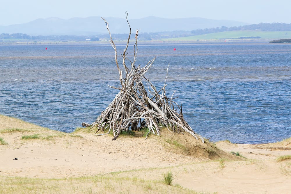 Taking the risk out of coastal living post image