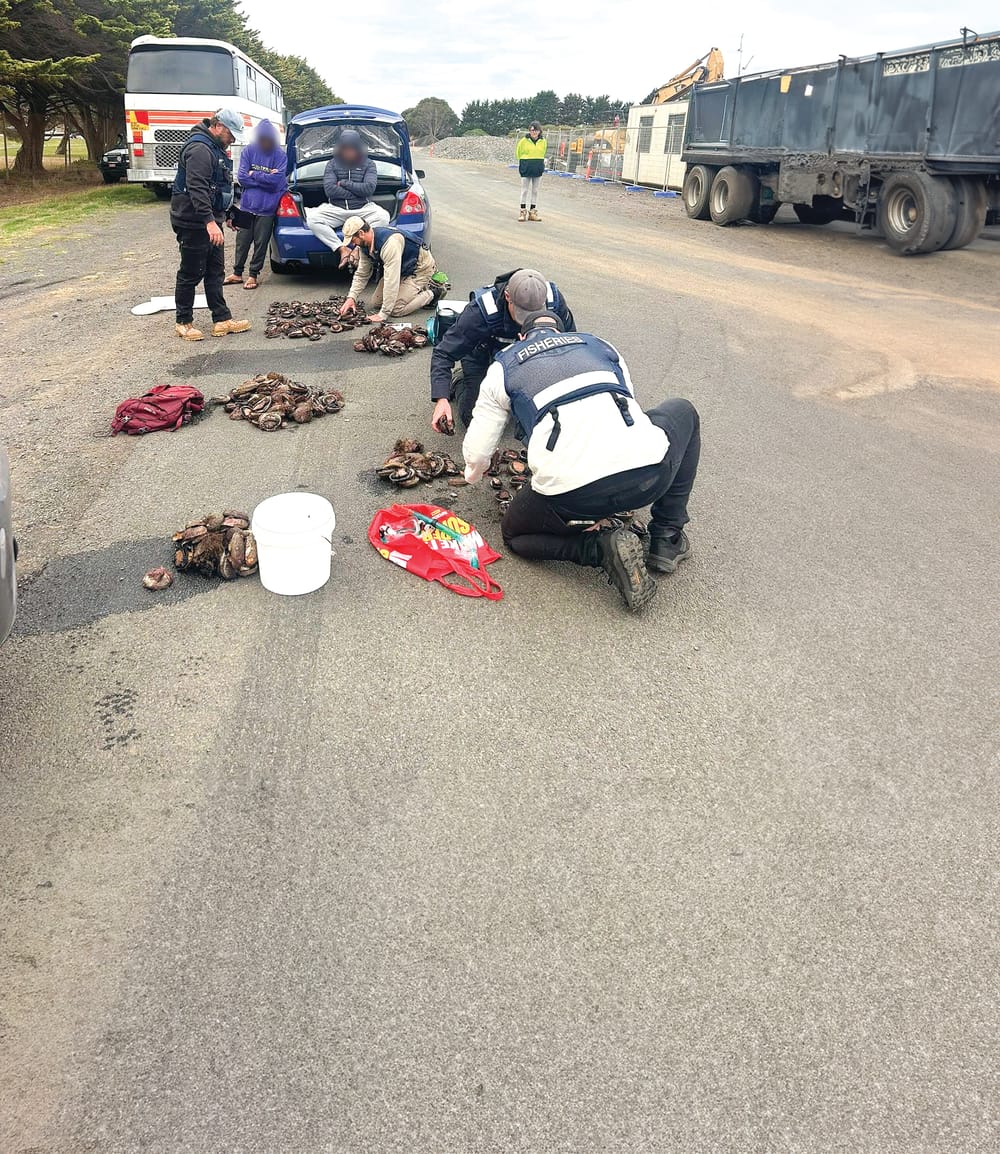 Absolute debacle - VFA’s abalone raid sparks calls to keep fisheries post image