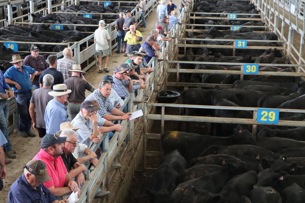 Australian beef hit by Trump tariff announcement post image