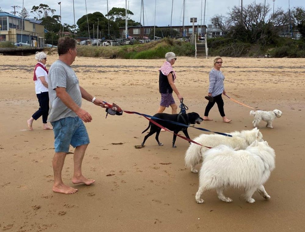 Councillors bark and growl at off-leash 'clean up' post image