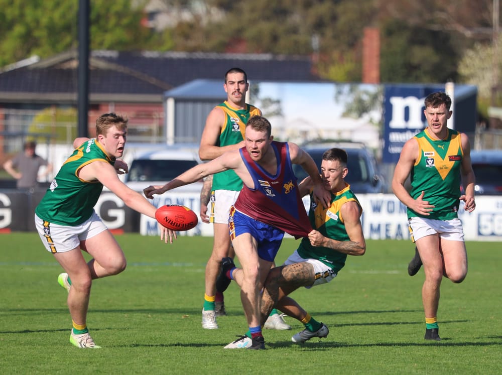 Parrots make second quarter blitz count in qualifying win over Moe post image