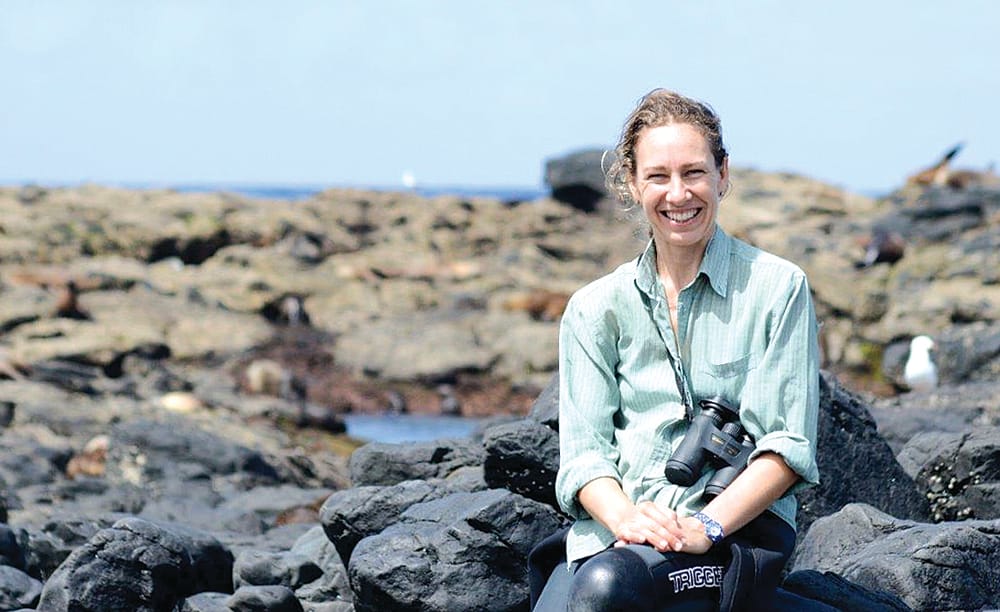 SealSpotter challenge more important than ever post image