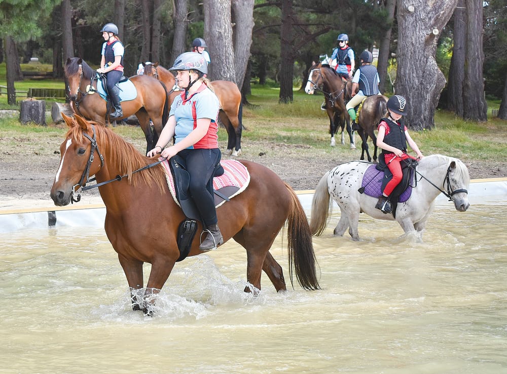 Christmas theme for pony club rally post image