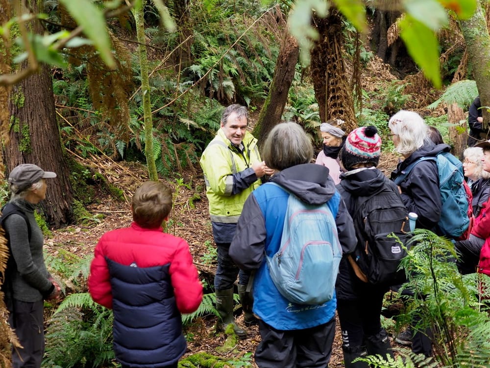 Tree Ferns and Crayfish, a perfect art and science cocktail post image
