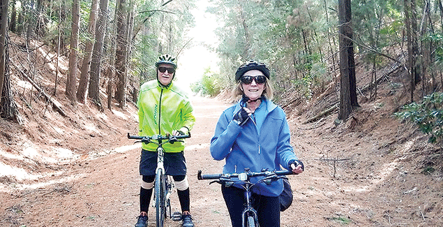 Murder, deaths, derailments and mystery… post image