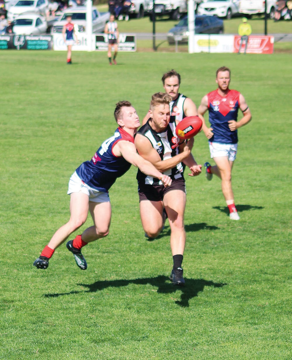 Magpies’ nemesis strikes again post image