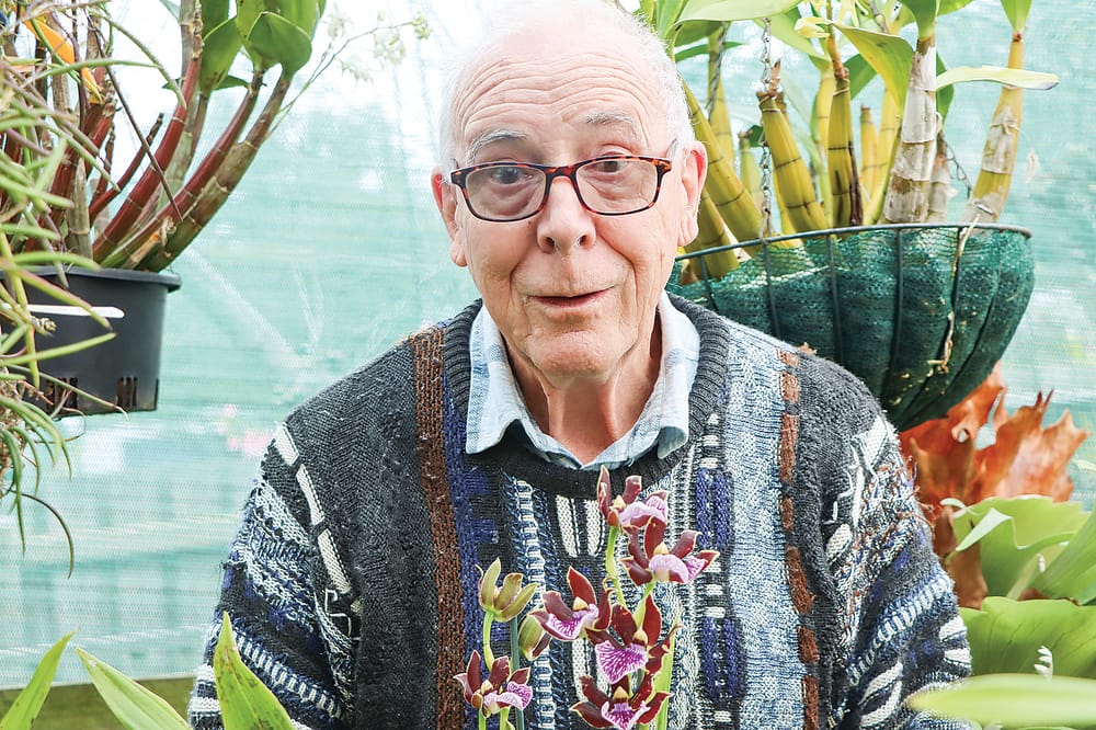 34th Annual South Gippsland Orchid Show post image