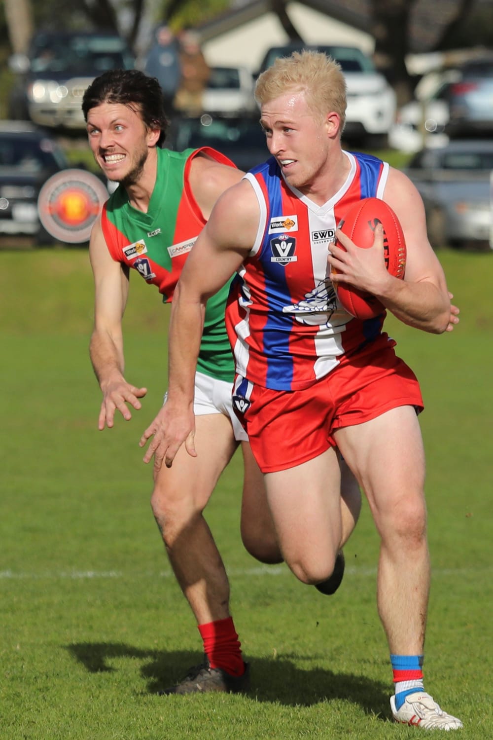 Bulldogs secure hard-fought win against Seagulls post image