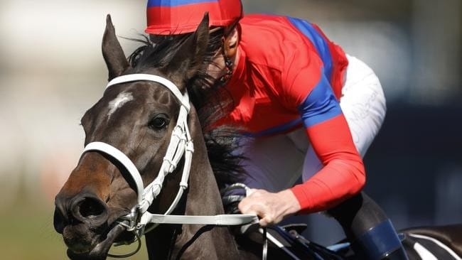 Latrobe City leads race no one wants to win post image