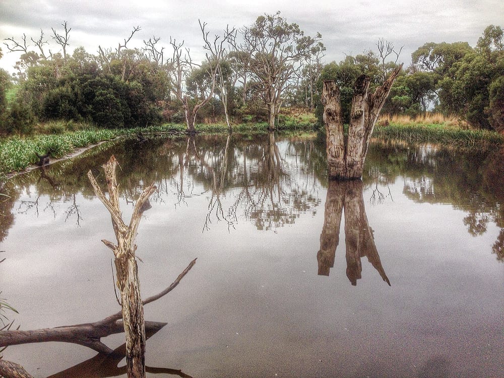 Inverloch wetland dispute heads to VCAT post image