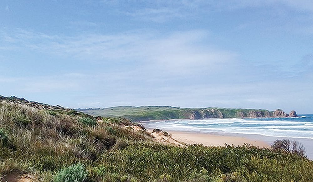 Bass Coast’s wildlife corridors preserving the environment and economy post image