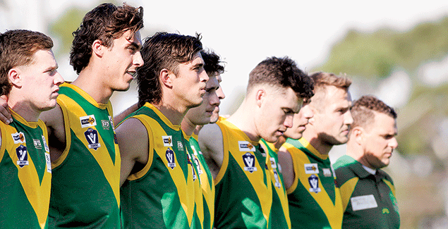 Parrots prevail for spectacular victory post image