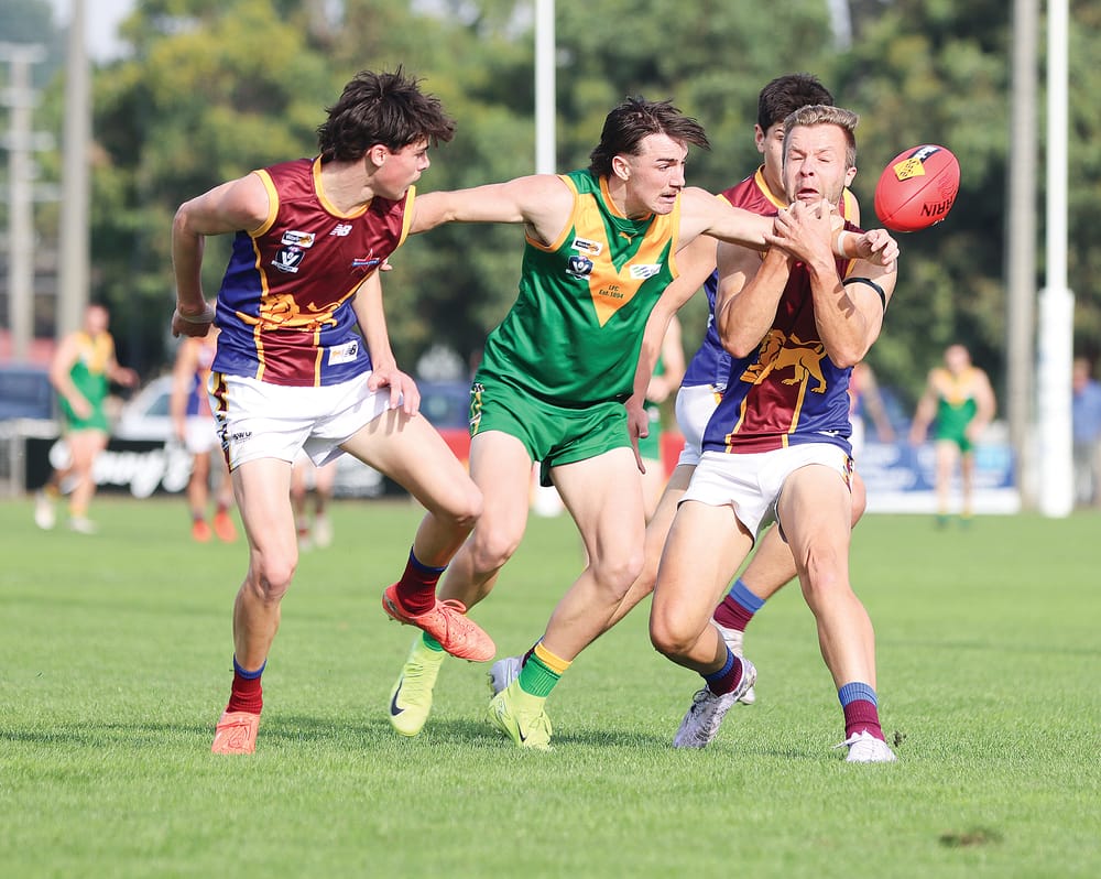Lions roar against Parrots in second half post image