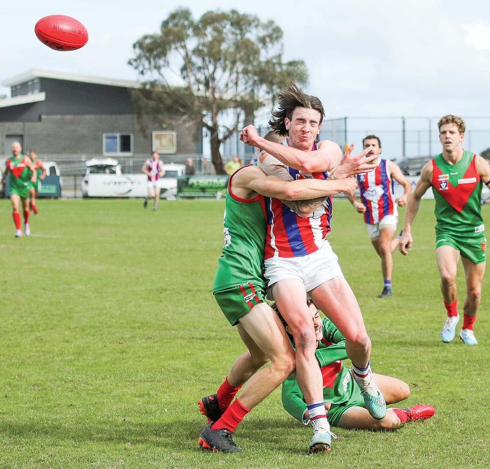 Bulldogs bite back in grand final replay post image