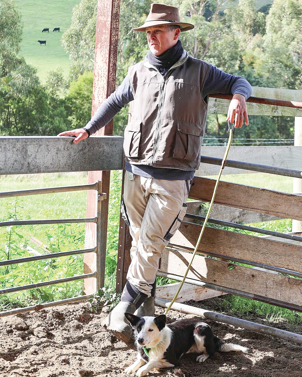 Working Dog Trials not to be missed this November post image