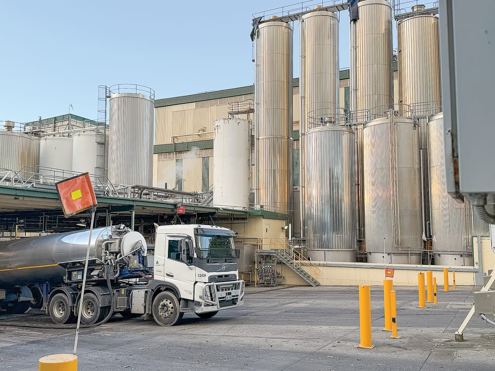 Milk price step-ups continue ahead of new season post image