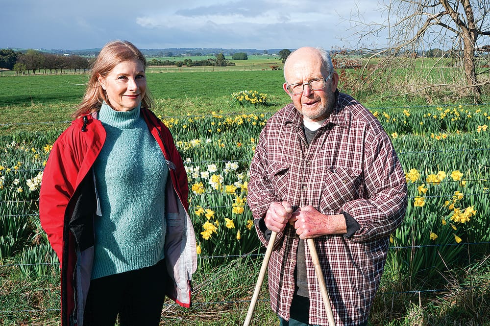Rodney’s love of daffodils continues to blossom post image