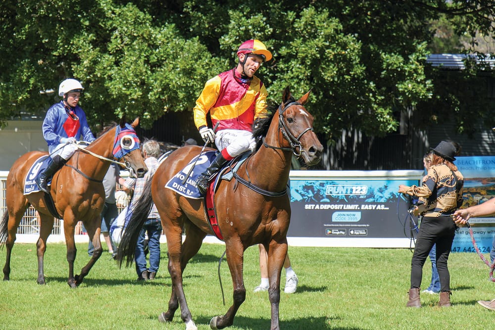 Sacra wins Woolamai Race Club Horse of the Year post image