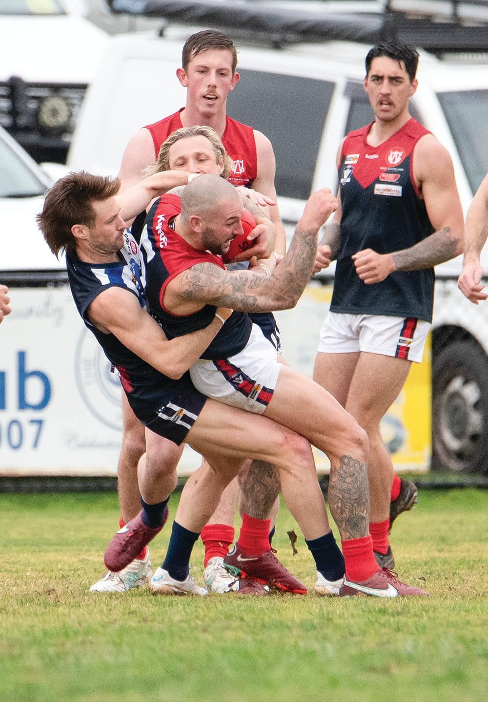 Panthers eye off the finals post image