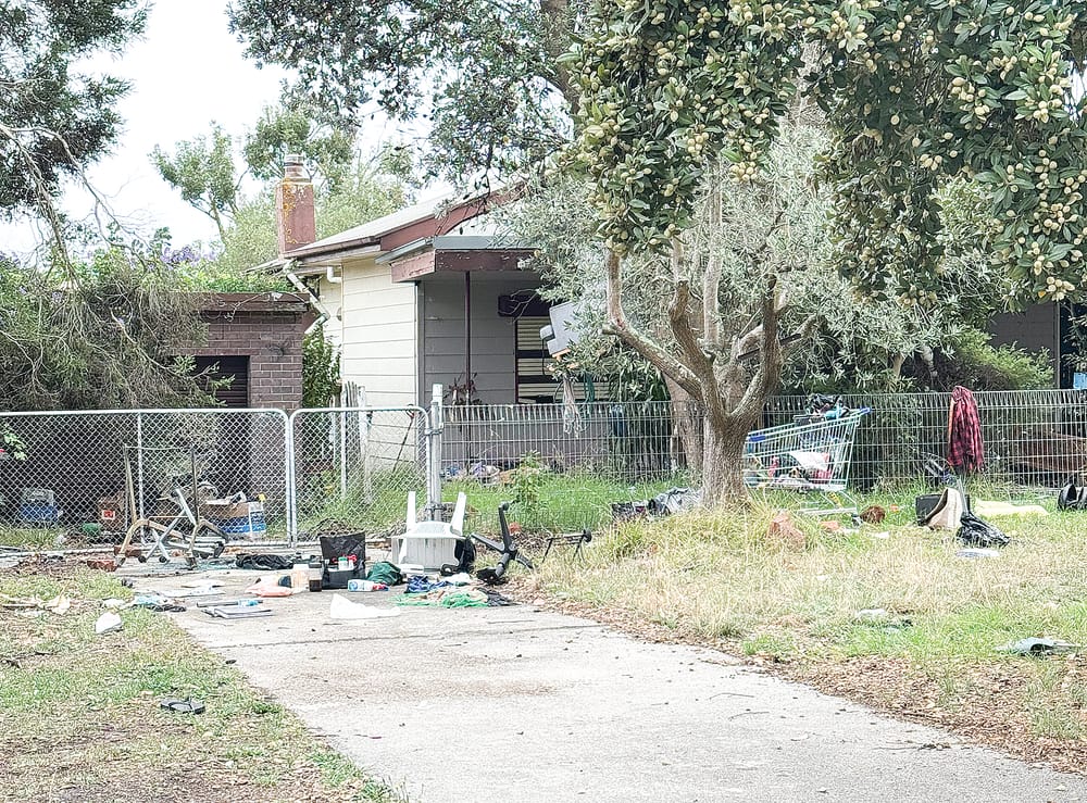 Hagelthorn hooligans as frustration grows over troublemaking squatters post image