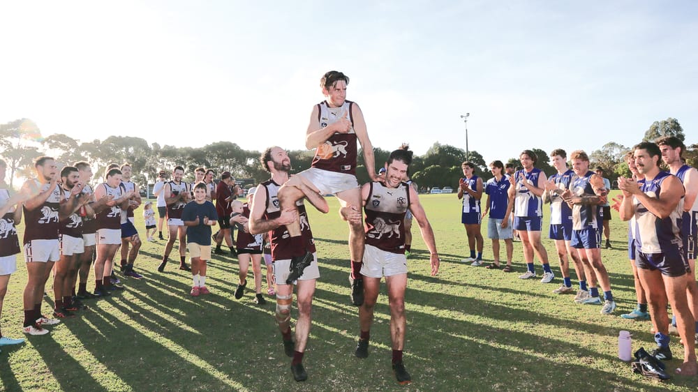 Lions roar to victory over Sharks post image