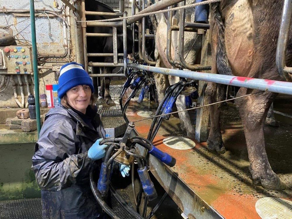 MILK: Fonterra Australia opens 2023/24 season at $8.65 per kgms post image