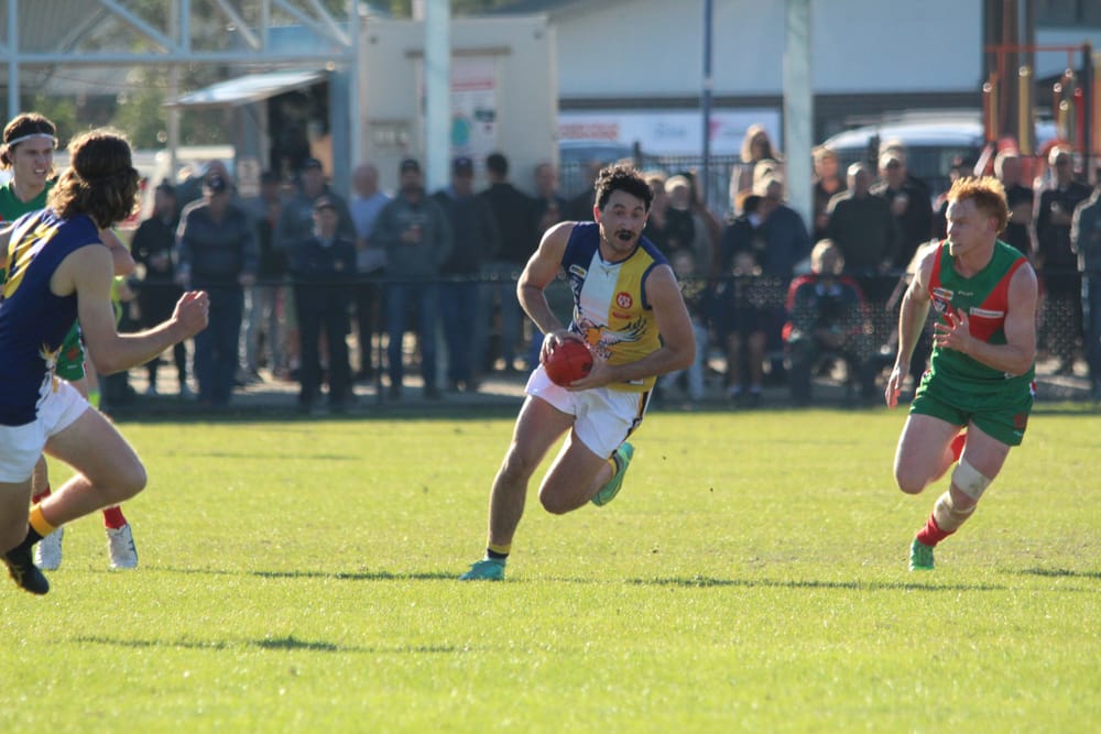 Battle of the seabirds headlines Road Safety Round post image