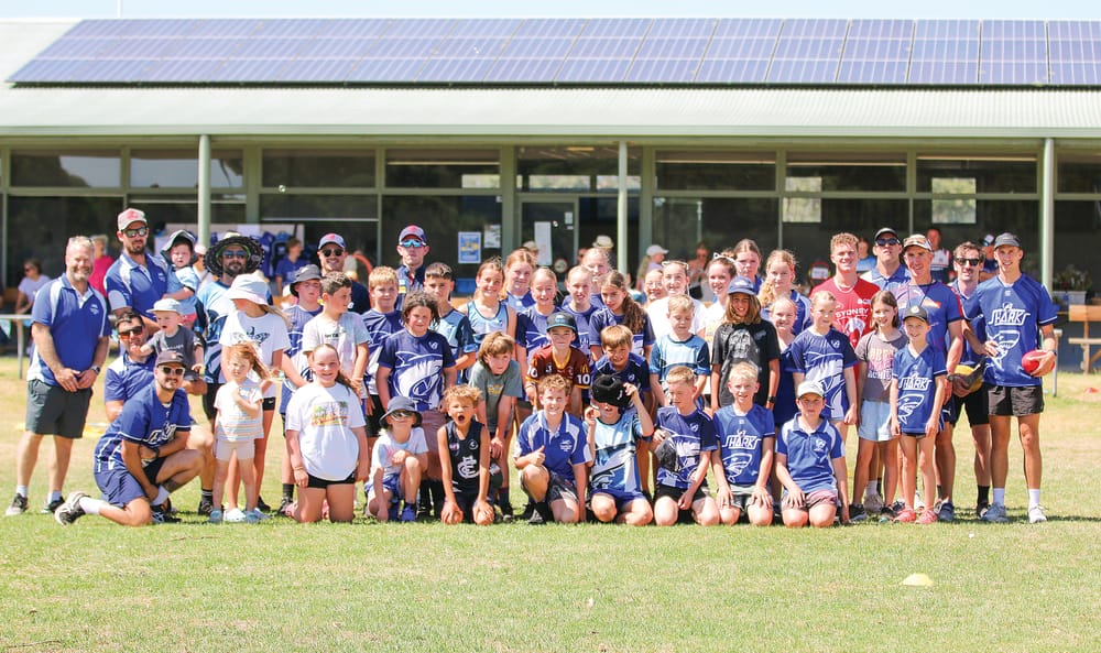 Sharks lure in the kids post image