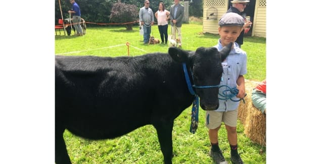 Arawata Pet Day returns this weekend post image