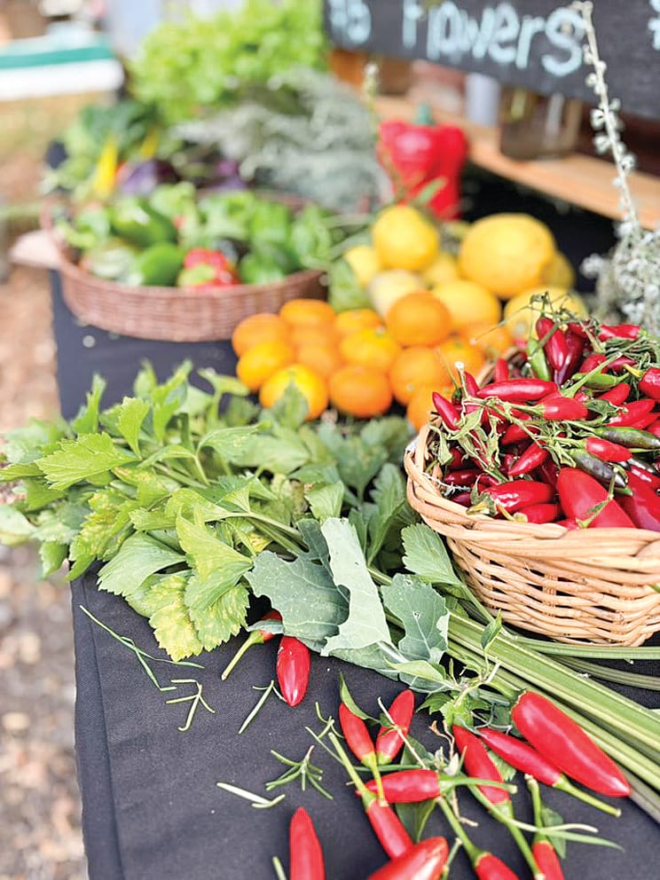 Local food system shakeup receives government boost post image