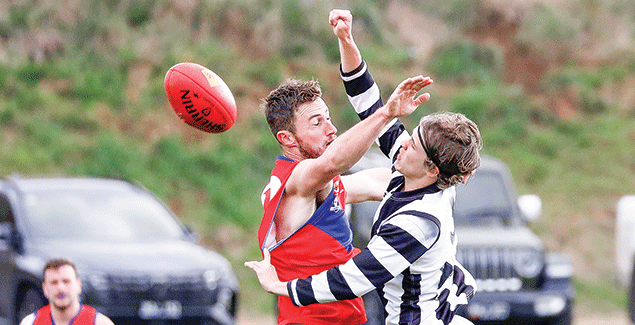 Magpies fall to in-form Buln Buln post image