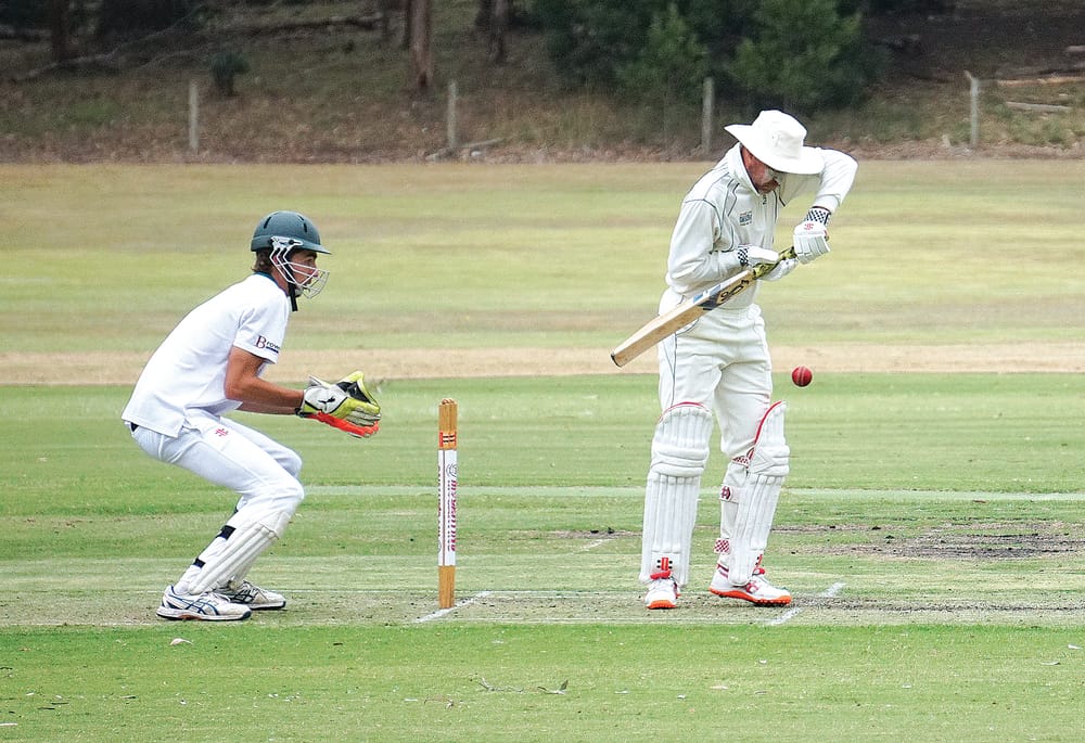 Sharks dominate MDU on first day post image