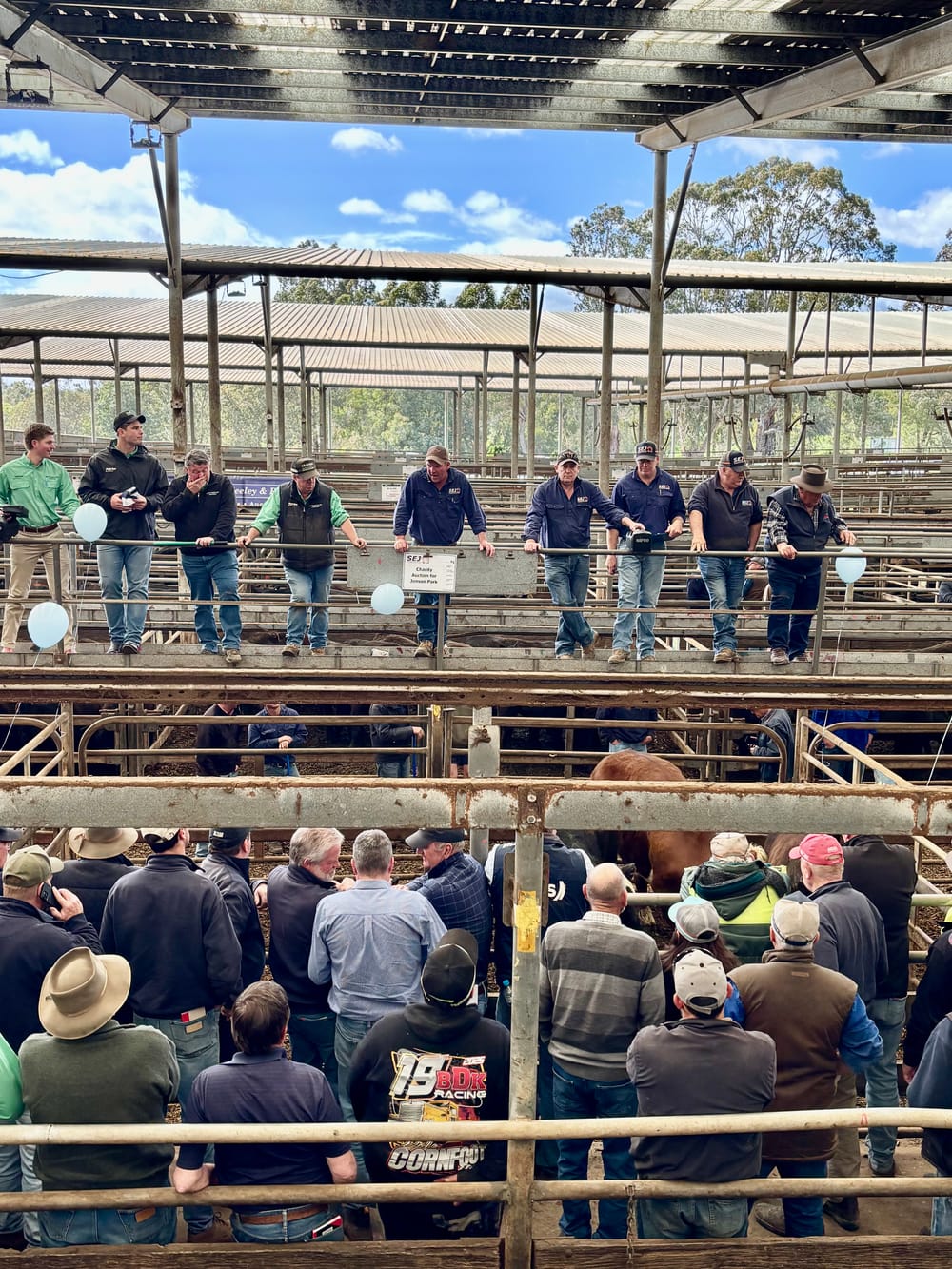 Spectacular success at fundraising auction to support family post image