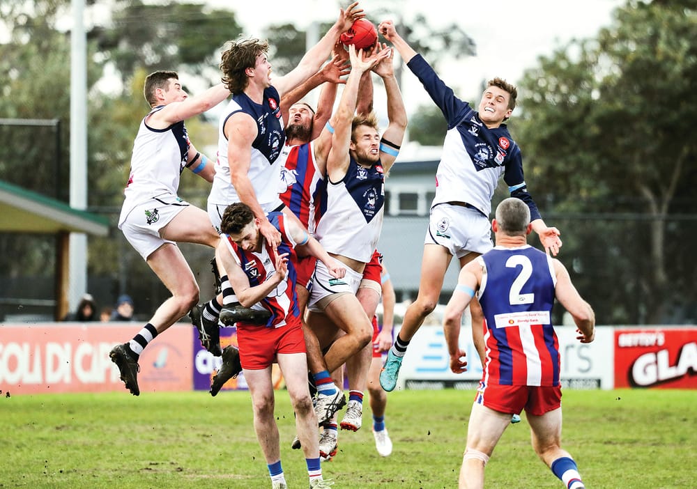 Bulldogs edge out The Goon post image