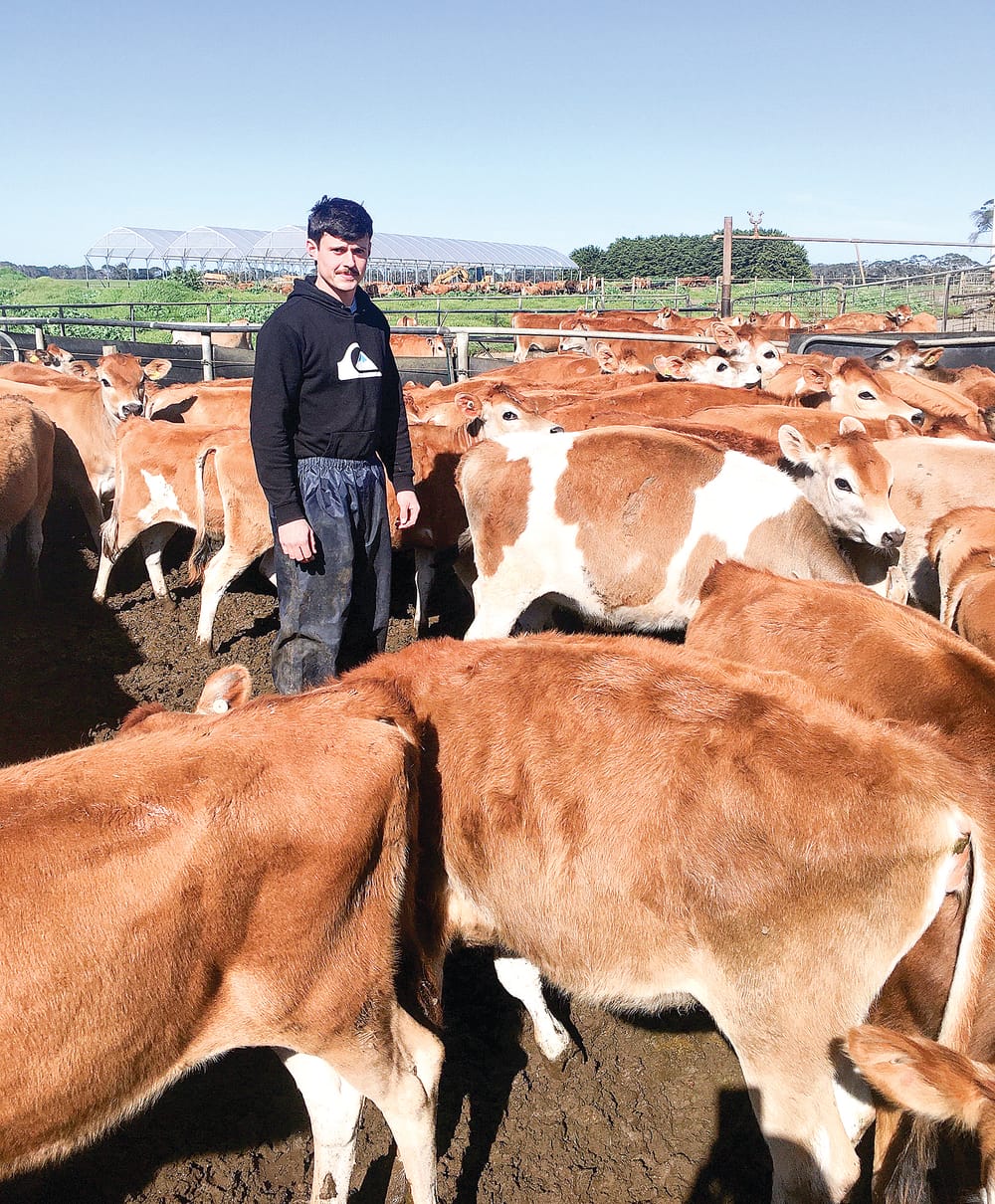 Nullawarre farmer keen to learn in NZ post image