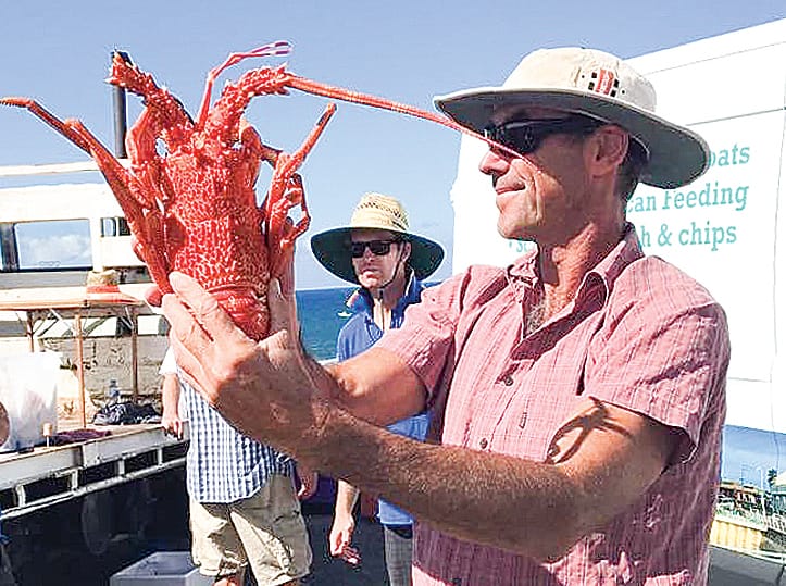 Kilcunda Lobster Festival returns for their 37th year post image