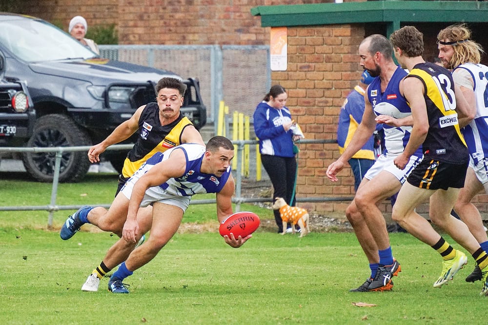 Foster shakes off competitive Tarwin post image