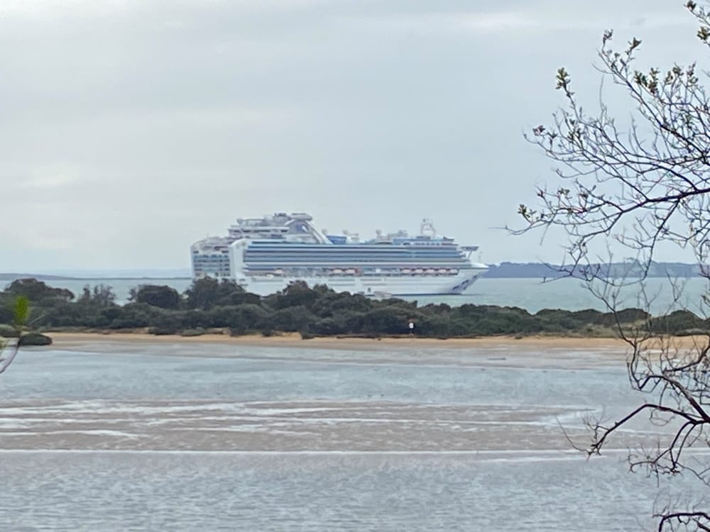 Phillip Island's first cruise ship ‘missed it by that much’ post image