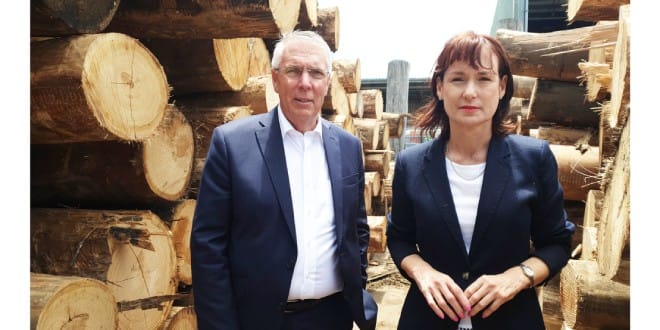 Lack of timber pallets could lead to supply disruptions post image