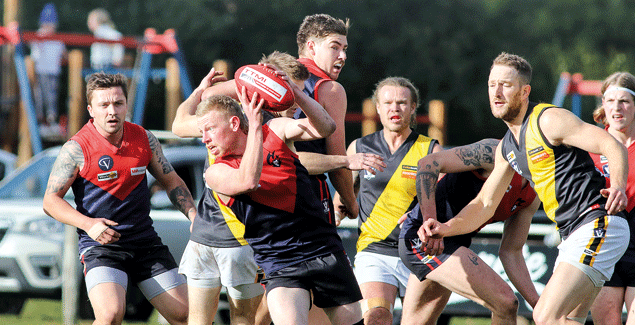 Tigers take points against MDU post image