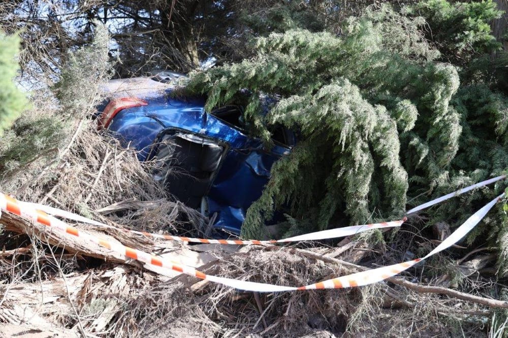 Trees 'give birth to car' after fearful crash at Leongatha South post image
