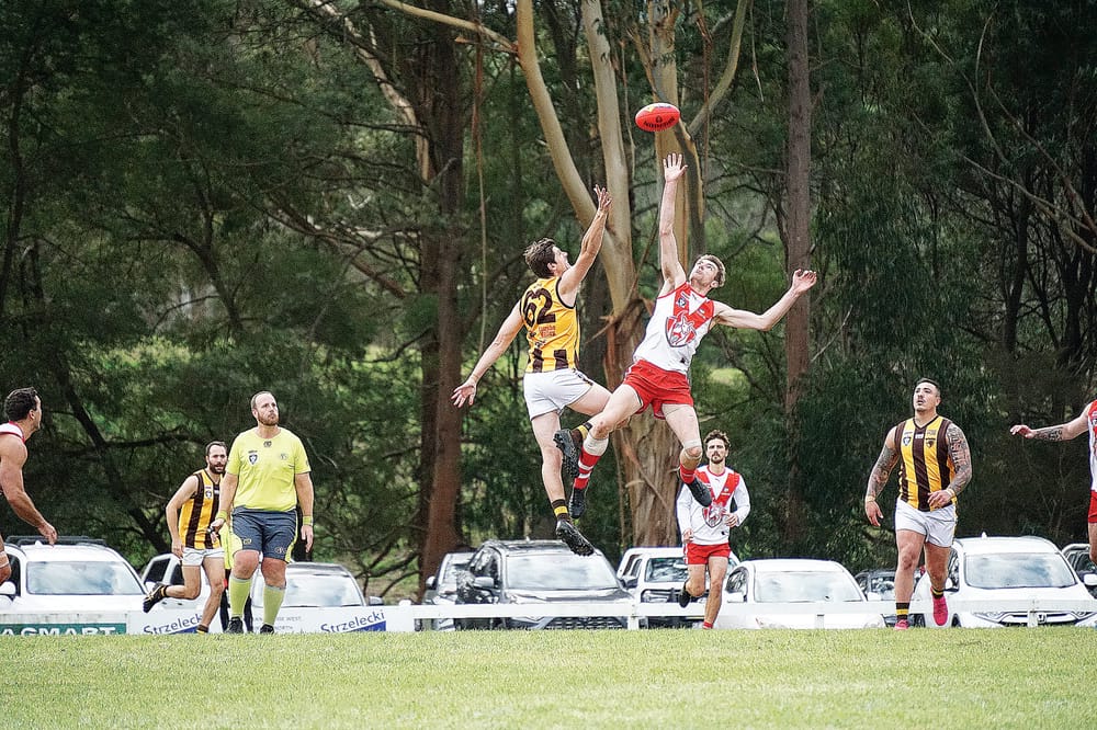 Inaccurate Fish Creek demolishes Morwell East post image