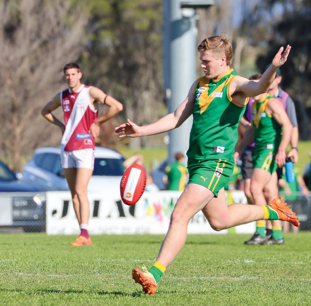 Parrots and Power in seven grand finals post image